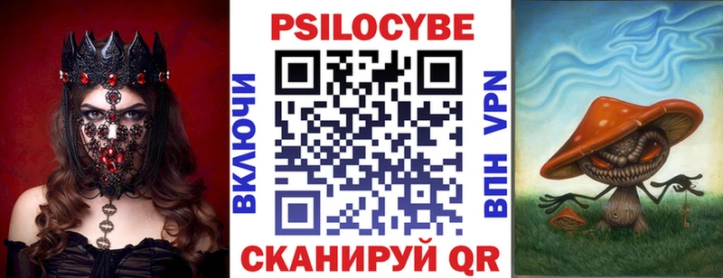 OMG вход  купить   Бузулук  Галлюциногенные грибы Psilocybe 