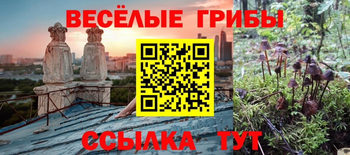 Галлюциногенные грибы Magic Shrooms Бузулук