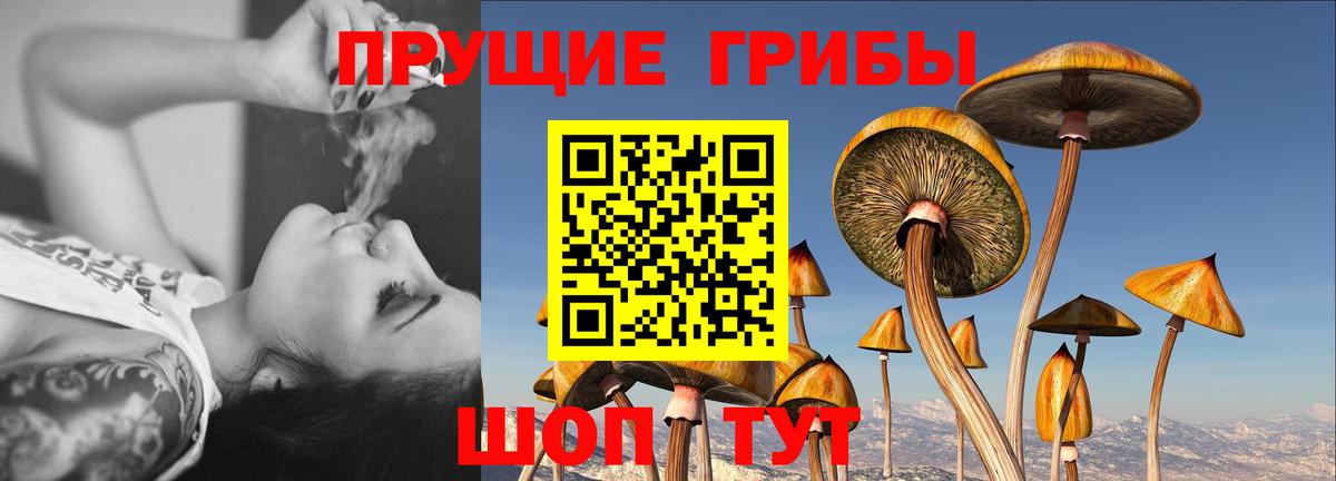 Галлюциногенные грибы мухоморы  Вход с VPN  Бузулук  Псилоцибиновые грибы Magic Shrooms 